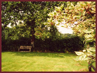Barn Cottage - Garden
